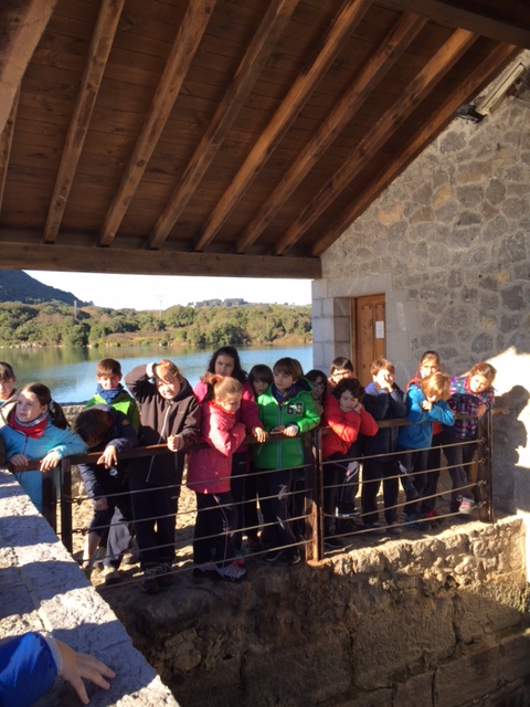 Visita Primaria Marismas Joyel